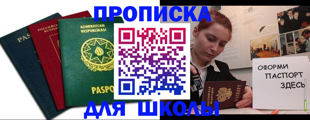 временная регистрация гарантия в Палласовке